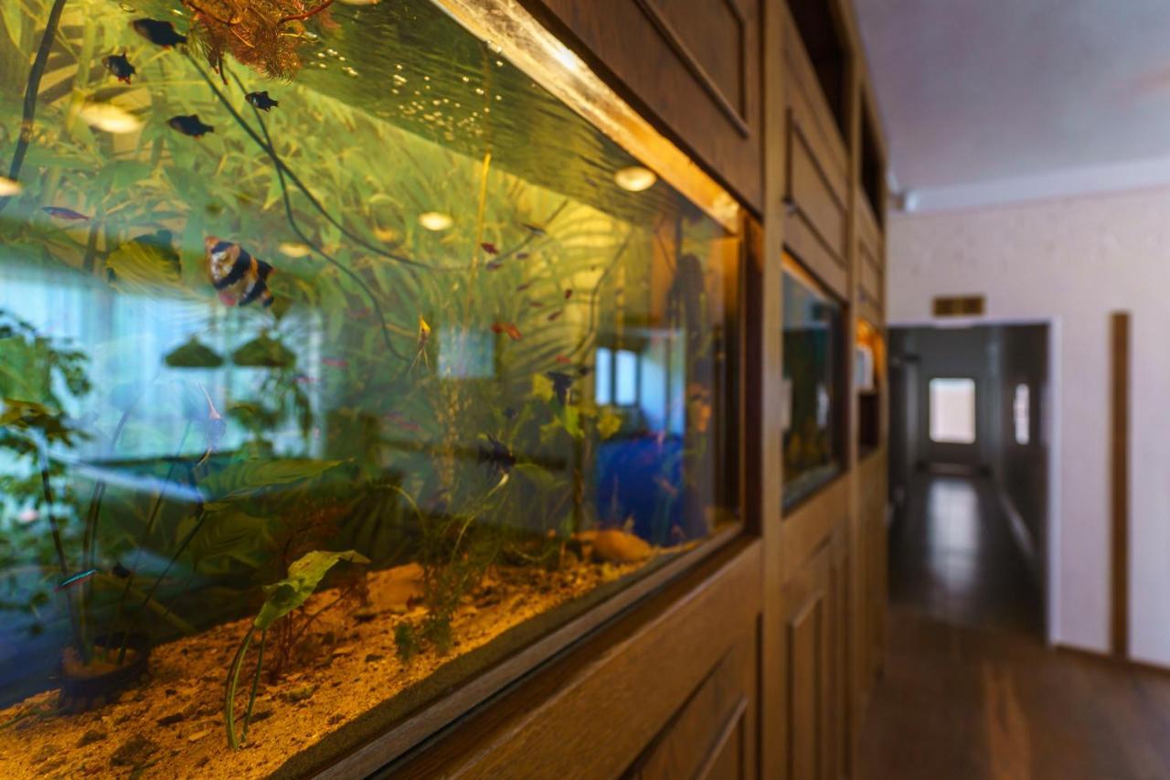 Hotel Hladina Nebrich Ngoại thất bức ảnh
